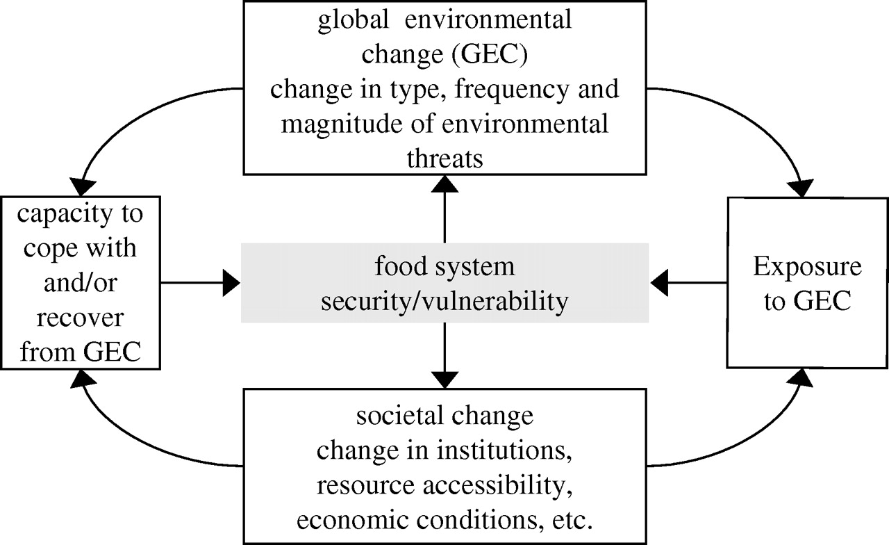 Outline Global Warming Essay