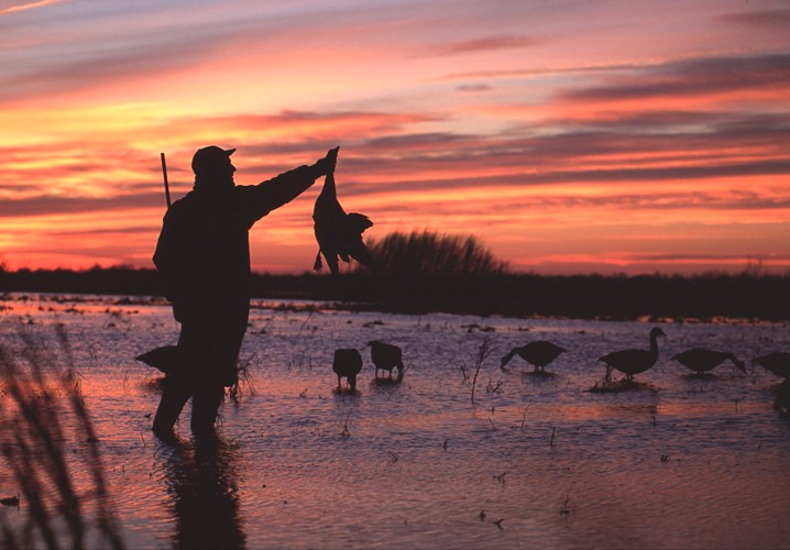 Duck hunting trips | Cometao