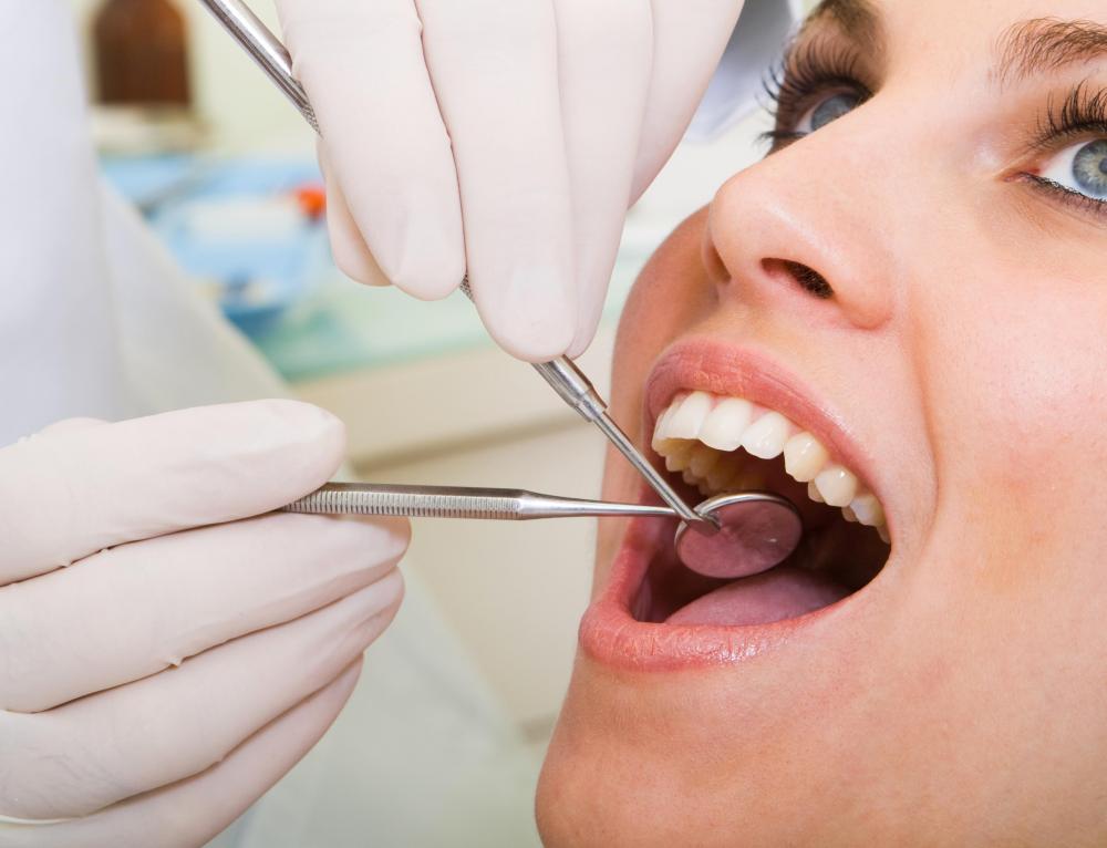 Maintenance Of Dental Health With The Tips from Dr. Mark Hochberg
