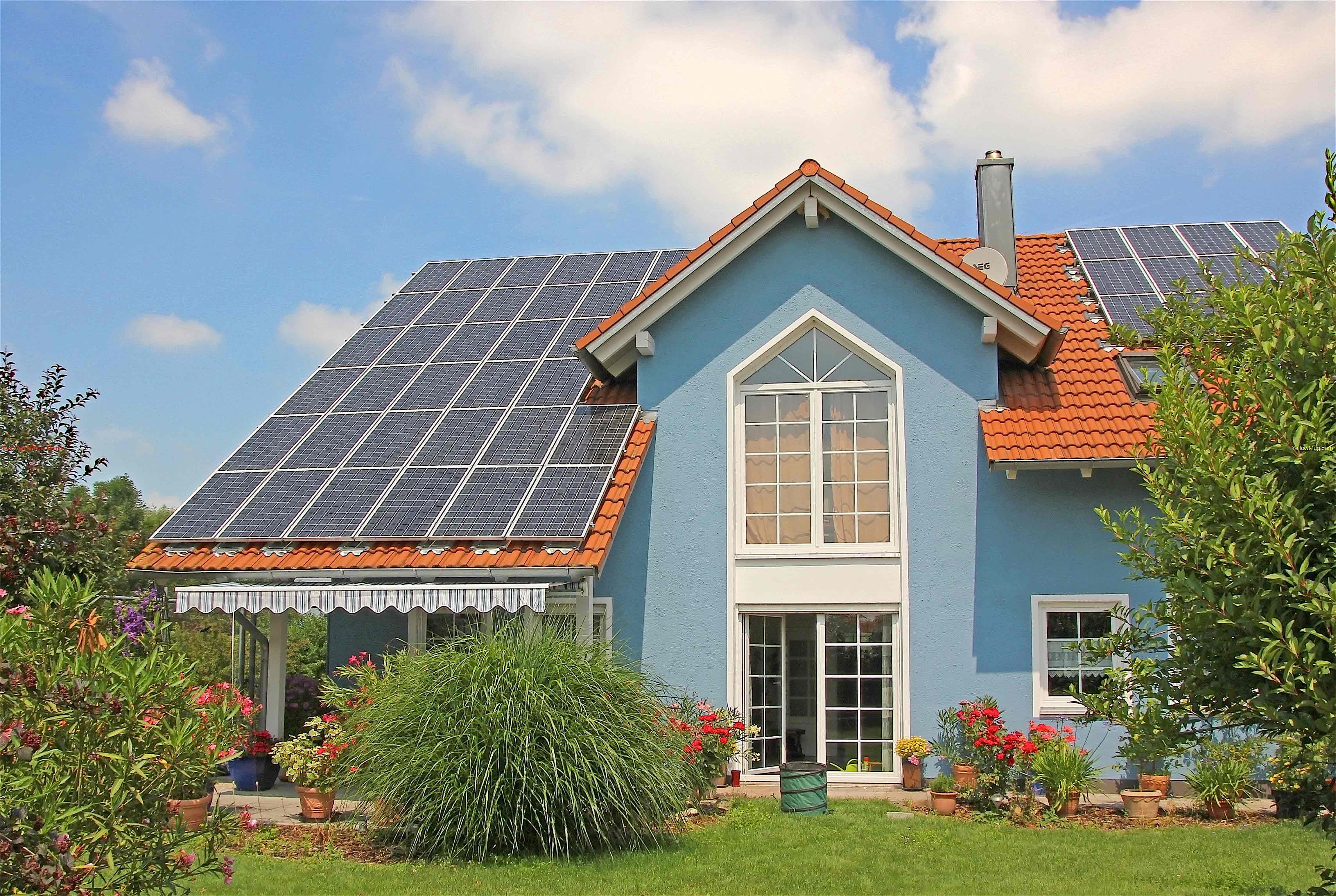 Some Of The Main Advantages Of Green Home Renovation For Homeowner