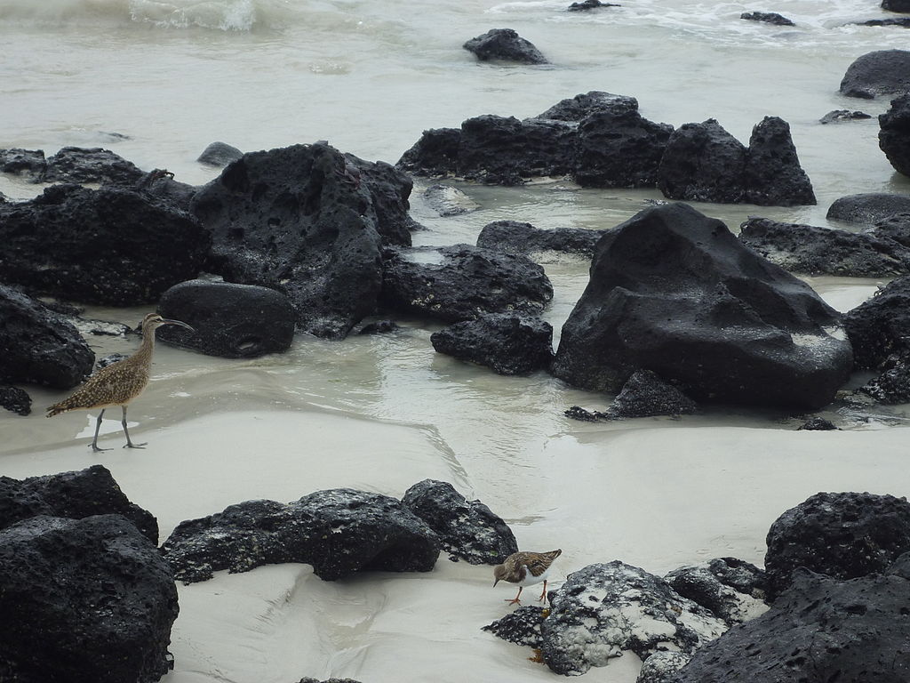 Africa Berdonces The New Galapagos Director Of The National Park